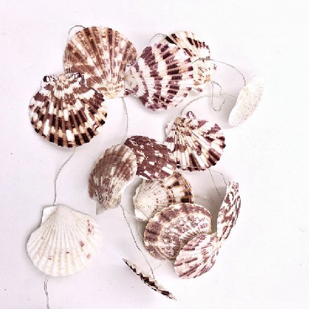 貝殼燈串